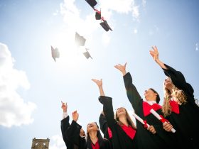 mavi diploma
