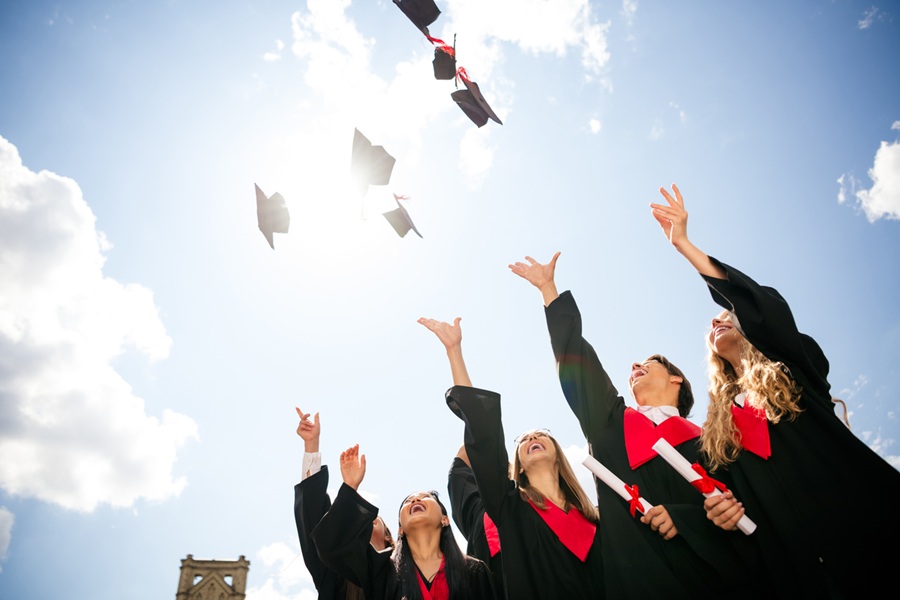 mavi diploma